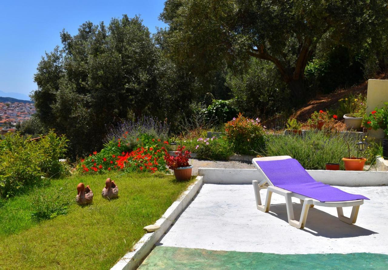 Villa Krini Skiathos Town Exterior foto