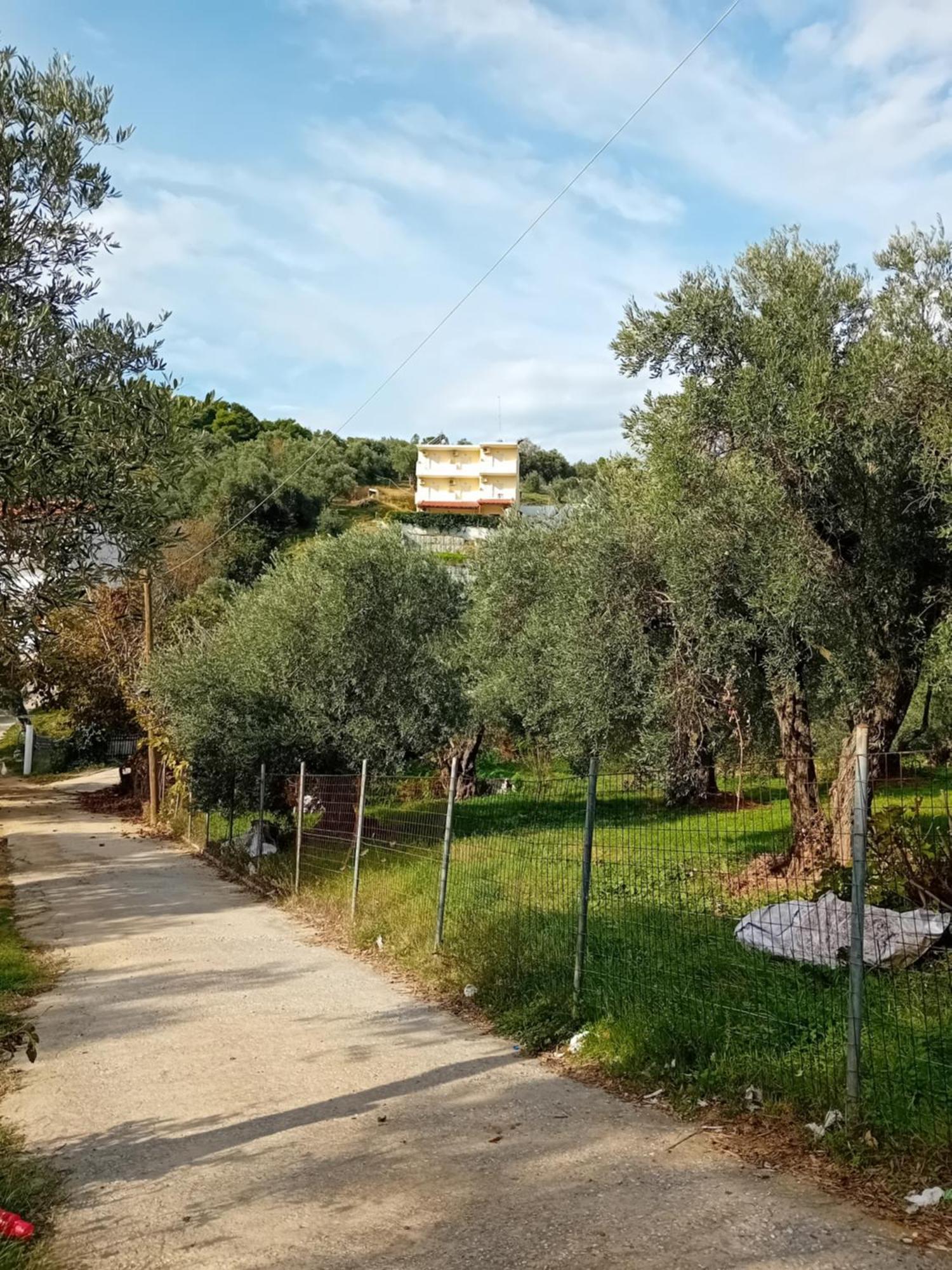 Villa Krini Skiathos Town Exterior foto