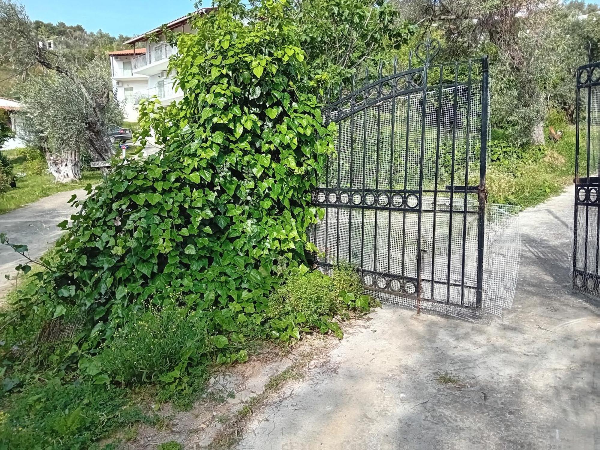 Villa Krini Skiathos Town Exterior foto