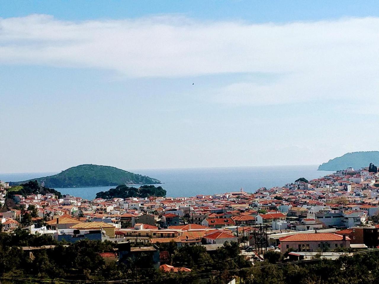 Villa Krini Skiathos Town Exterior foto